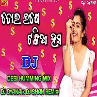 Tora Lakhe Tankia Hasa- Odia Dance Dj Mix- DJ Gyana, Shan